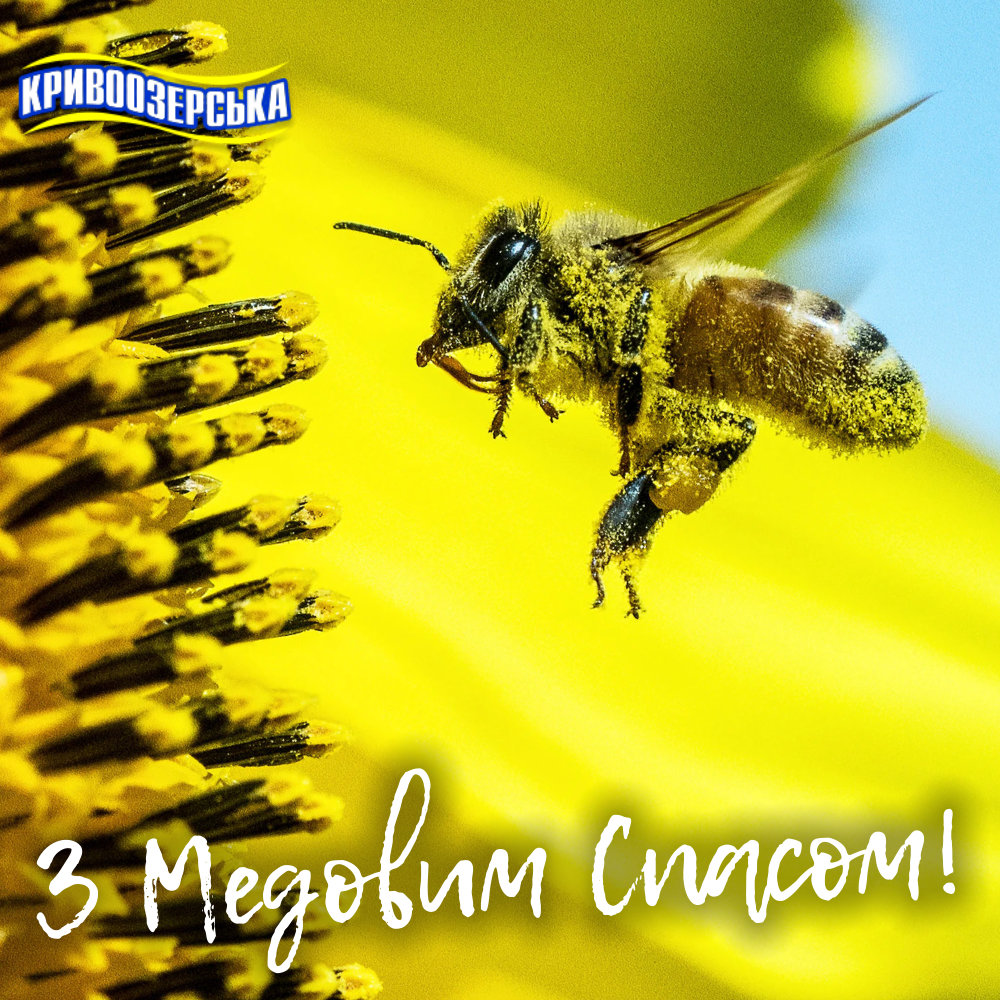 Прев'ю картинка для новини - З Медовим Спасом!